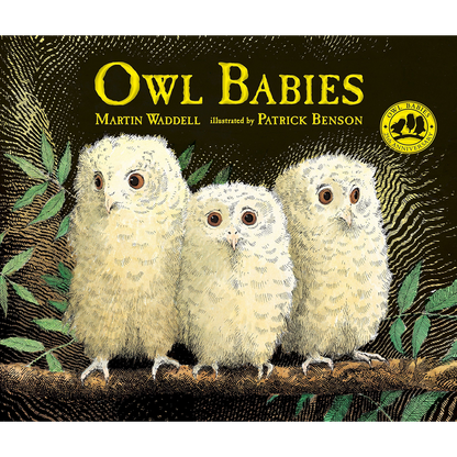 Owl Babies