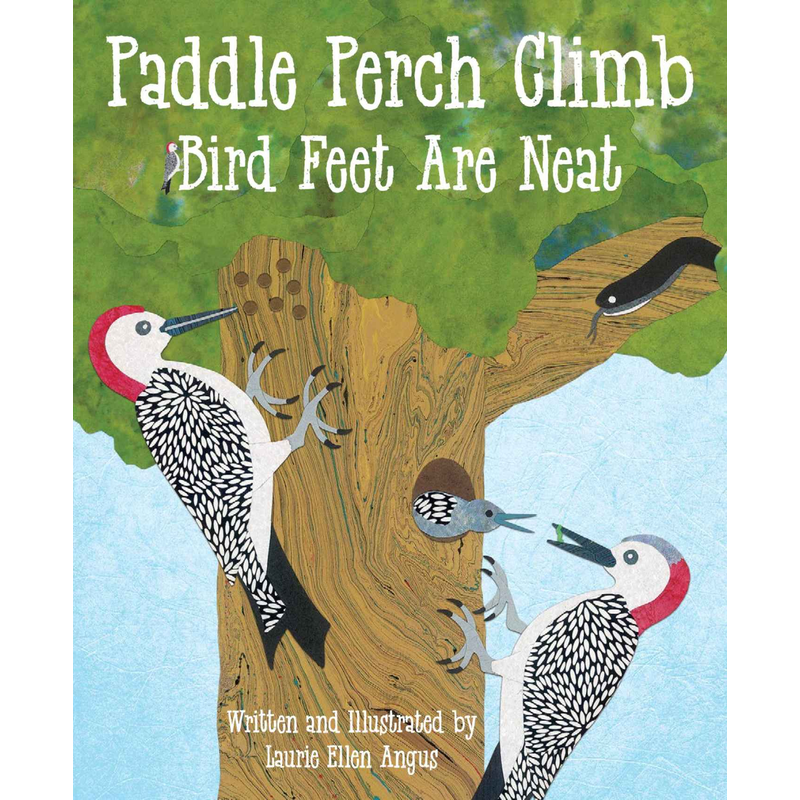 Paddle Perch Climb: Bird Feet are Neat