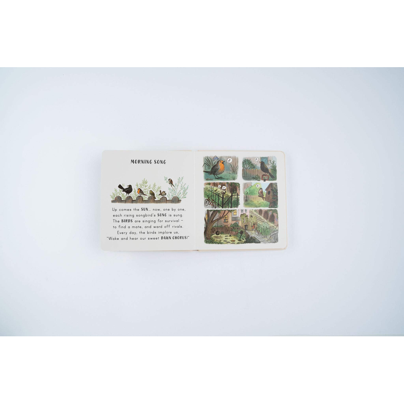 Slow Down . . . on Your Doorstep: Calming Nature Stories for Little Ones