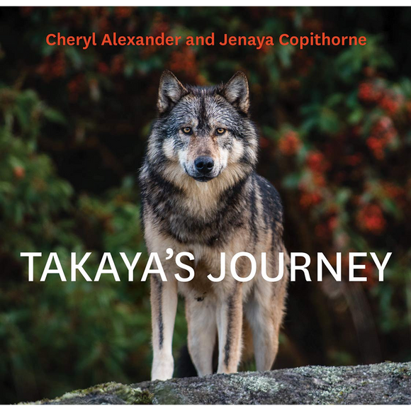 Takaya's Journey