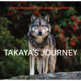 Takaya's Journey