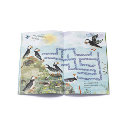 The Big Sticker Book of Birds