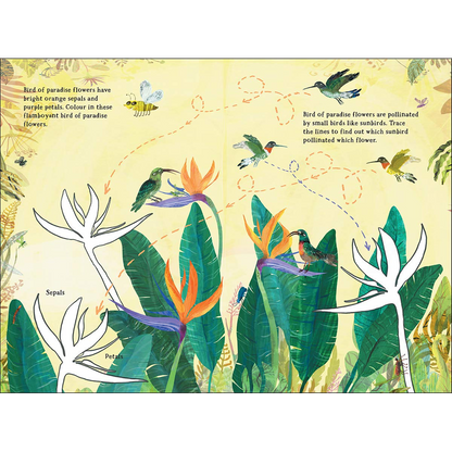 The Big Sticker Book of Blooms