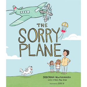 The Sorry Plane