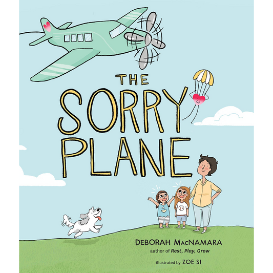 The Sorry Plane