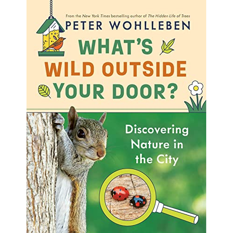 What's Wild Outside Your Door?: Discovering Nature in the City