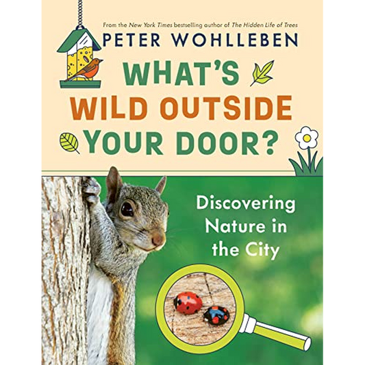 What's Wild Outside Your Door?: Discovering Nature in the City