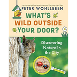 What's Wild Outside Your Door?: Discovering Nature in the City