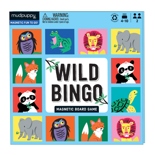 Magnetic Board Games by Mudpuppy