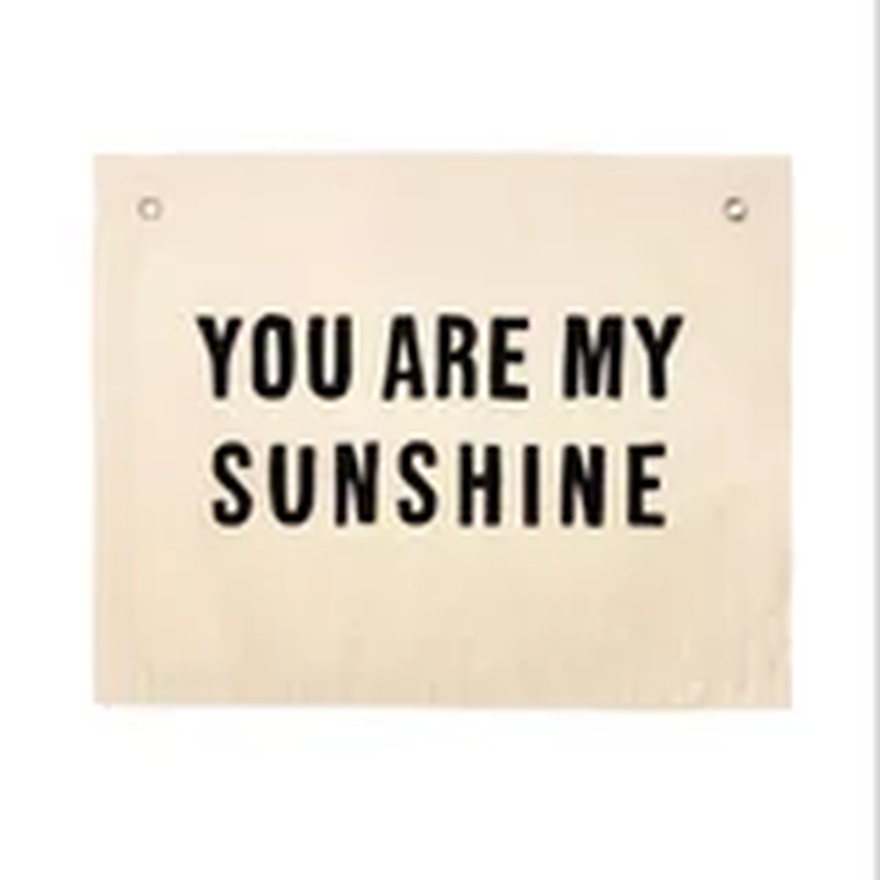 You are my sunshine Banner - Multiple Colour Options
