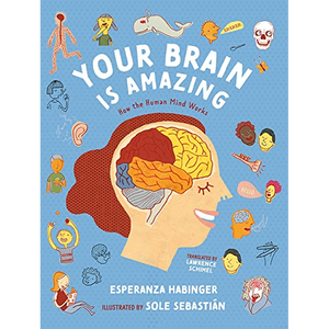 Your Brain Is Amazing: How the Human Mind Works